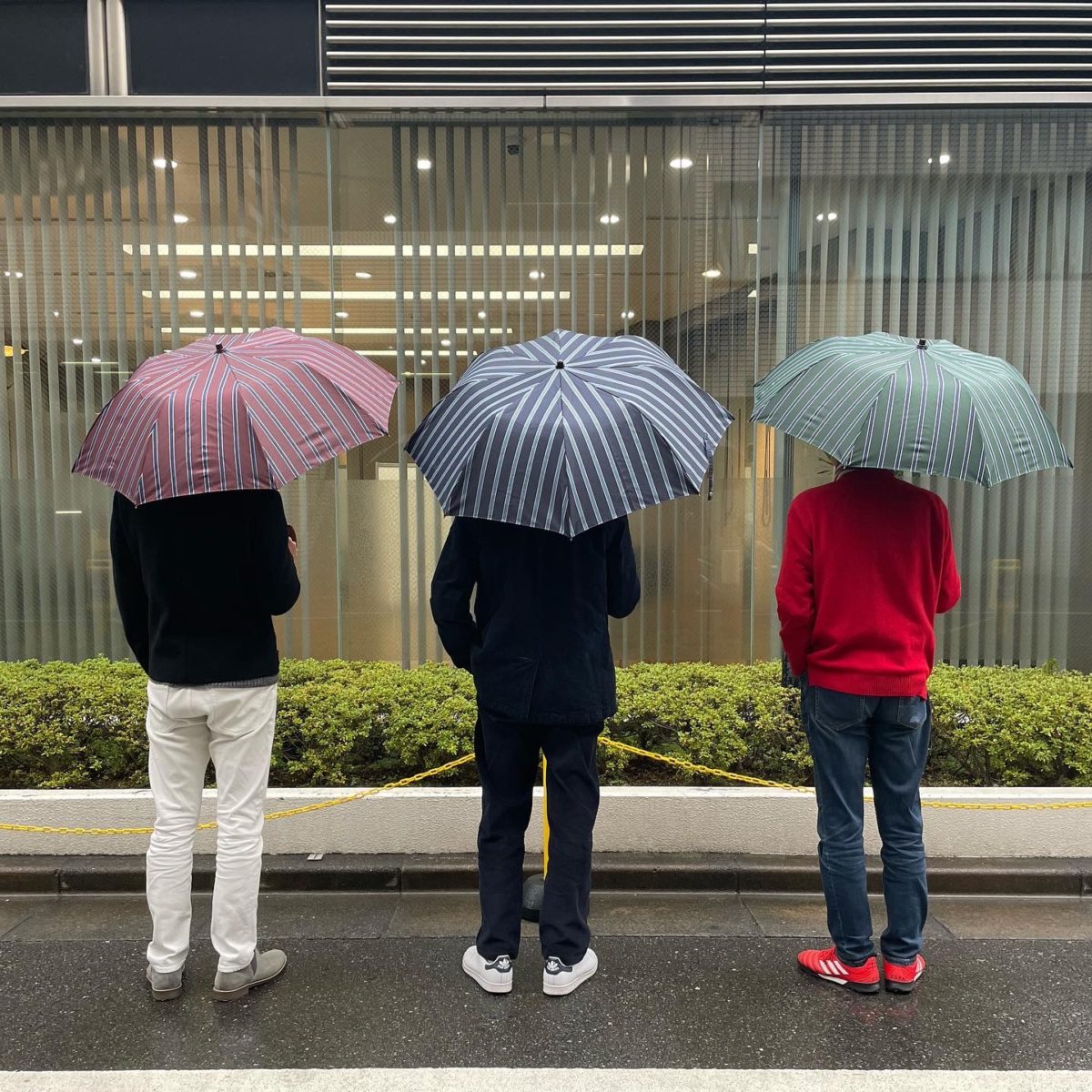 アユーラ オリジナル晴雨兼用傘
